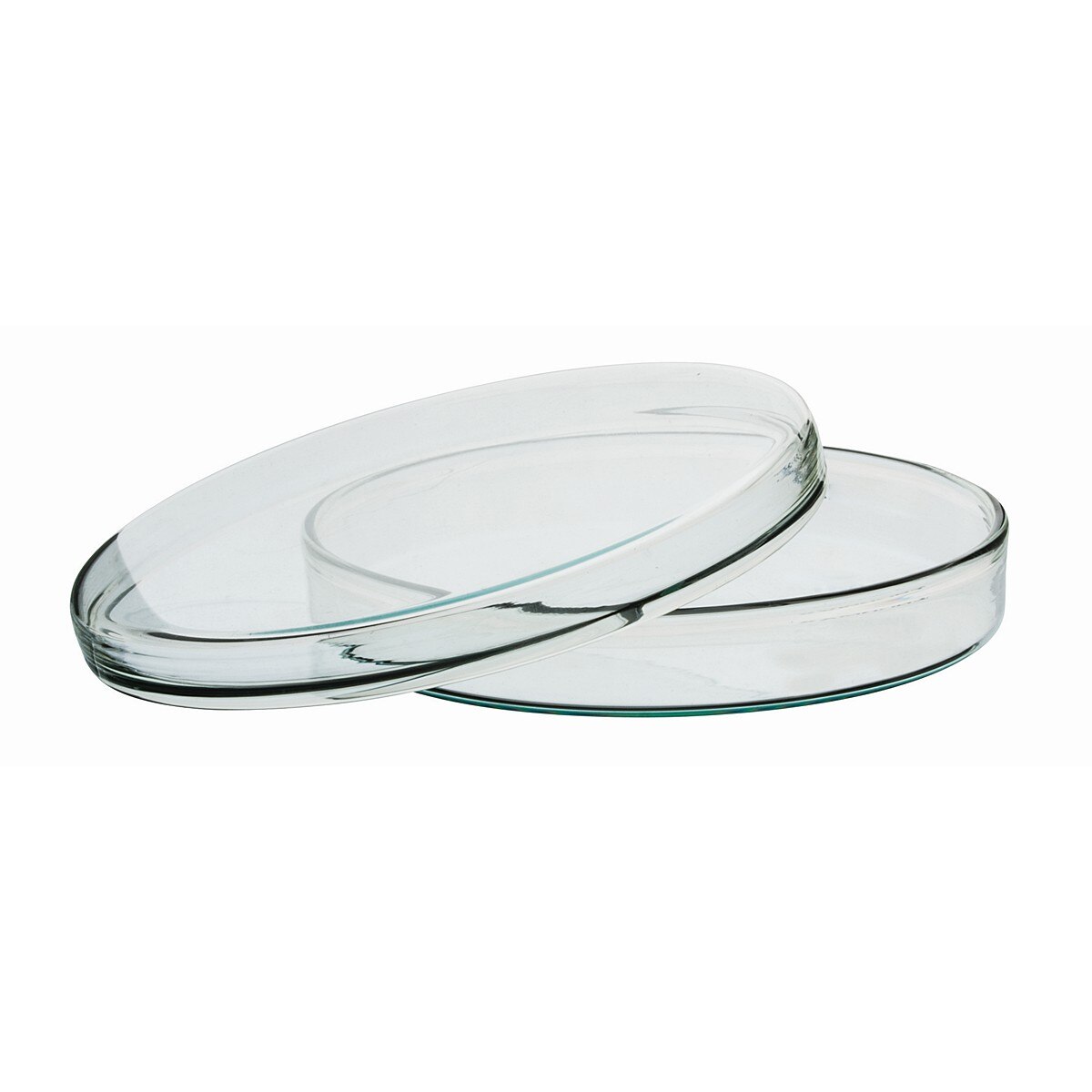 Eisco CH0370D Petri Dish, 5.9″ (150 mm) – Autoclavable